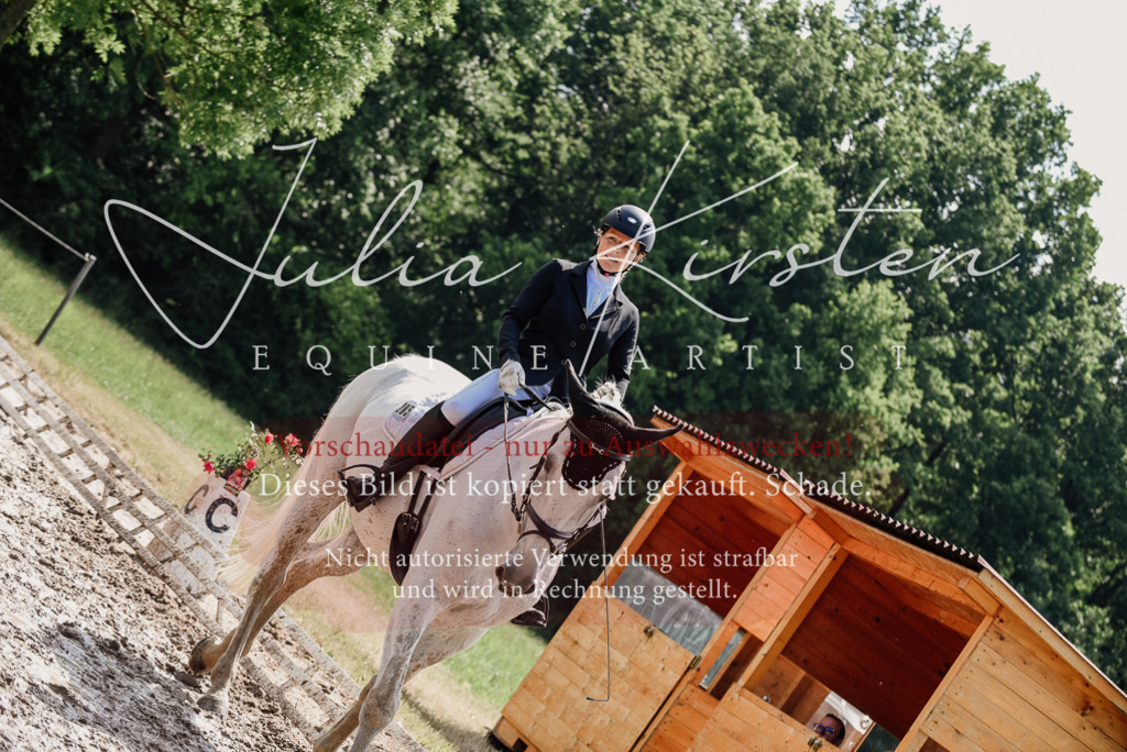 DSC_0384 | Pferde- und Turnierfotografie in Westsachsen. Pferdeportraits, Auftragszeichnungen und intuitive Kunst.