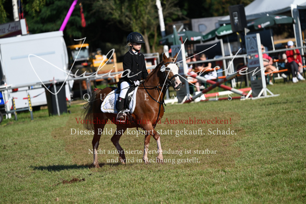 DSC_4819 | Pferde- und Turnierfotografie in Westsachsen. Pferdeportraits, Auftragszeichnungen und intuitive Kunst.