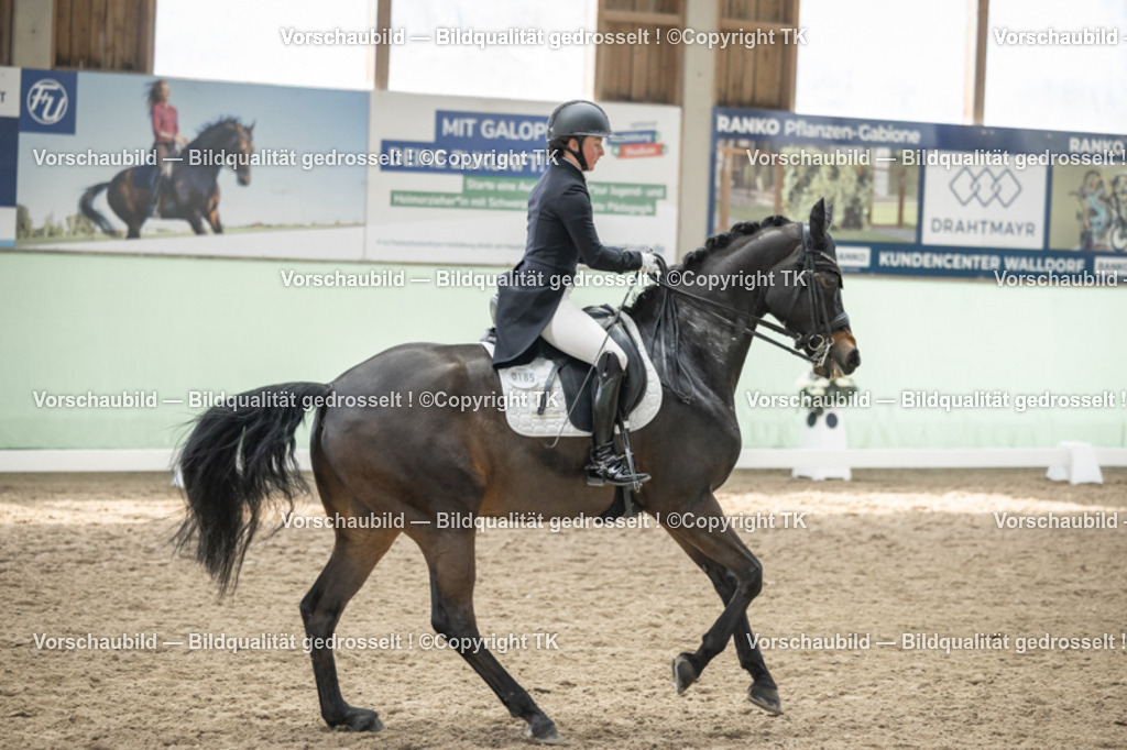 _D5A5249 | Emotionale Pferde- & People-Fotografie rund um Heidelberg, Leimen & Umgebung. Natürliche Fotos von Pferd, Mensch & Familie. Jetzt Termin sichern!