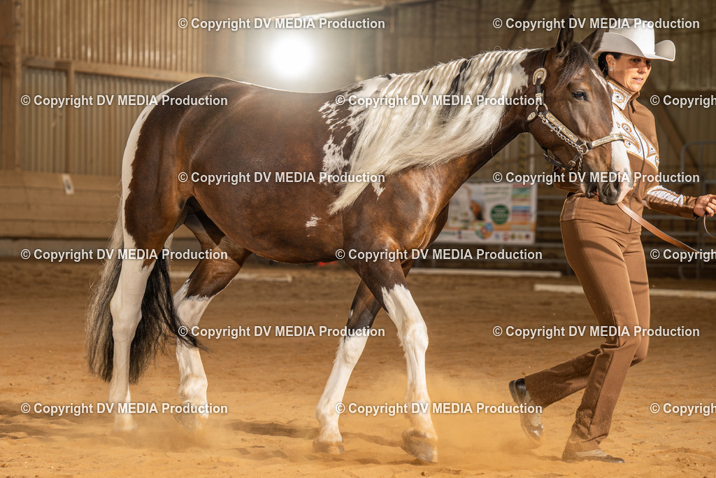 NID02444 | dv-media-shop - Realisiert mit Pictrs.com