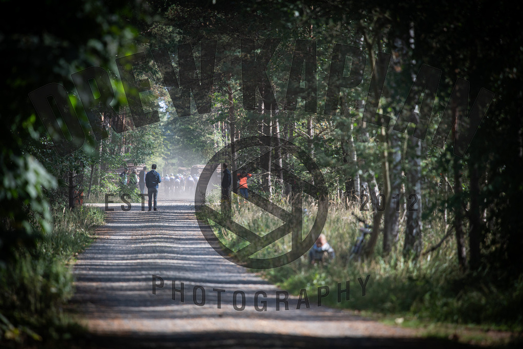 DKP-1120 | Drew Kaplan Photography