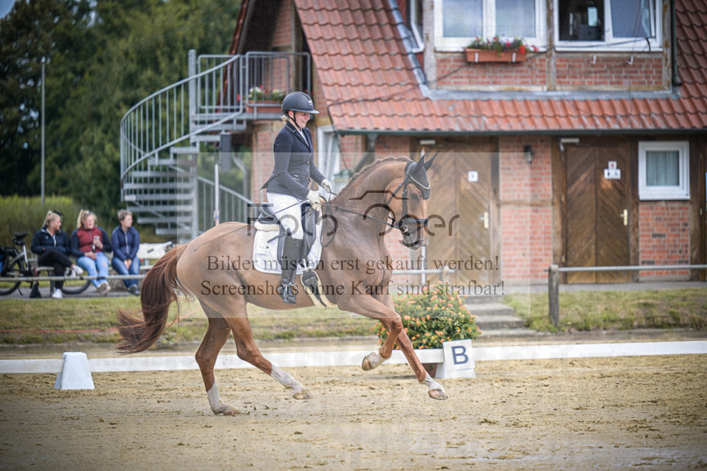 DOS_8502 | Entdecke hochwertige Reitturnierfotos von Foto Oger. Professionell, emotional und authentisch – jetzt Lieblingsmomente im Shop bestellen.Deutschlandweite Turnierfotografie. - Realisiert mit Pictrs.com