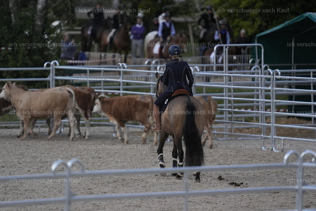 PI26_COW_Stoibphotography_DSC5486.JPG | working equitationturnier fotograf videograf stoibphotography marixx film working equitation deutschland reitsport turnierfotografie eventfotografie equestrian events