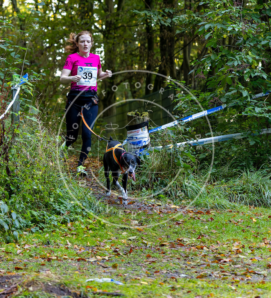 Pfotenfotografie_DV3A6779 | Hundefotografie, Tierfotograf, Pfotenfotografie, Fotoshooting Hund, Hunde Portrait, Hundesport, Hundeportraits, Heideshooting, Hunde, Sportfotograf, Hundefotograf, Turnierhundsport, THS,  - Realisiert mit Pictrs.com