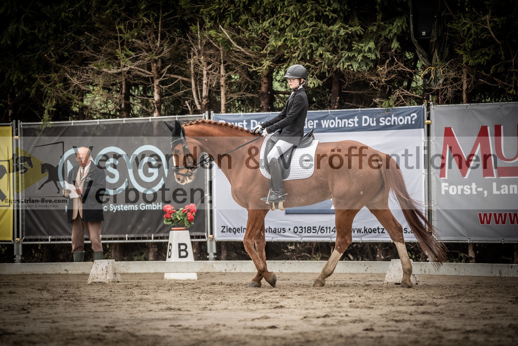 DSC_0188 | equestrian-live-com