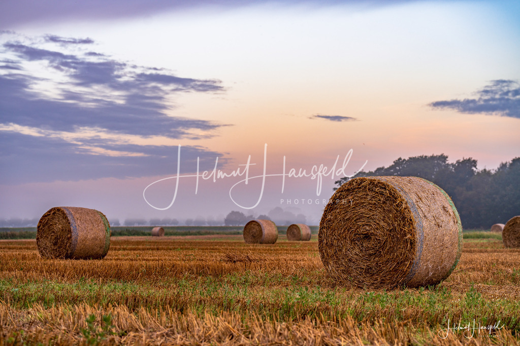 DSC09381-HDR | Landschaftsfotografie, Naturfotografie - Realisiert mit Pictrs.com