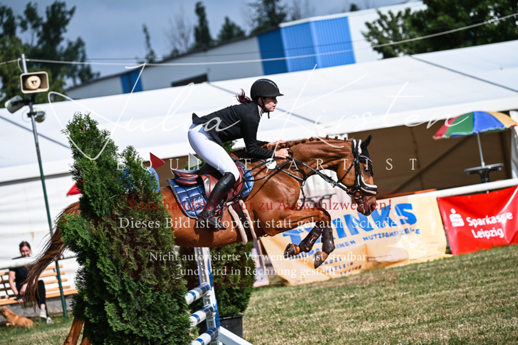 DSC_7821 | Pferde- und Turnierfotografie in Westsachsen. Pferdeportraits, Auftragszeichnungen und intuitive Kunst.