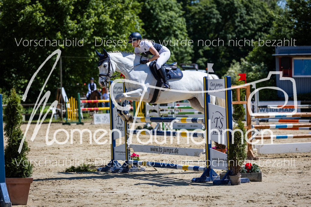 Donop24-Stil-L-077 | MomenTaufnahmen Pferdesportfotos