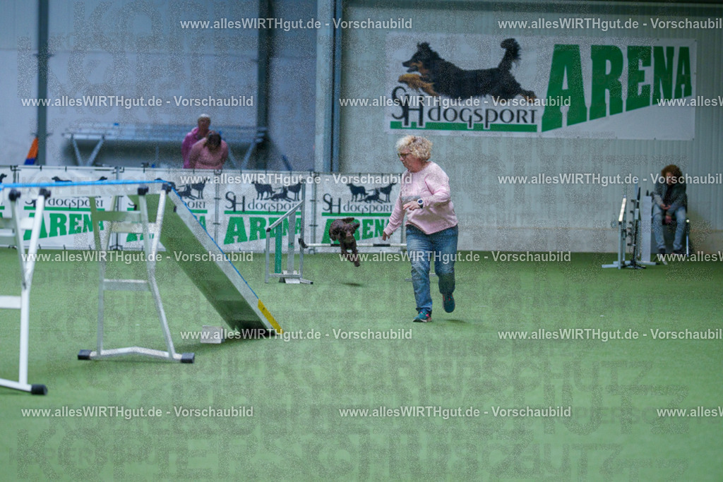 @allesWIRTHgut_Tierfotografie - www.allesWIRTHgut.de - 2604260826-7R506900 | Professionelle Tierfotografie in Mönchengladbach von Daniel Wirth (allesWIRTHgut). Liebevolle & natürliche Bilder von Hunden & Katzen für unvergessliche Erinnerungen.