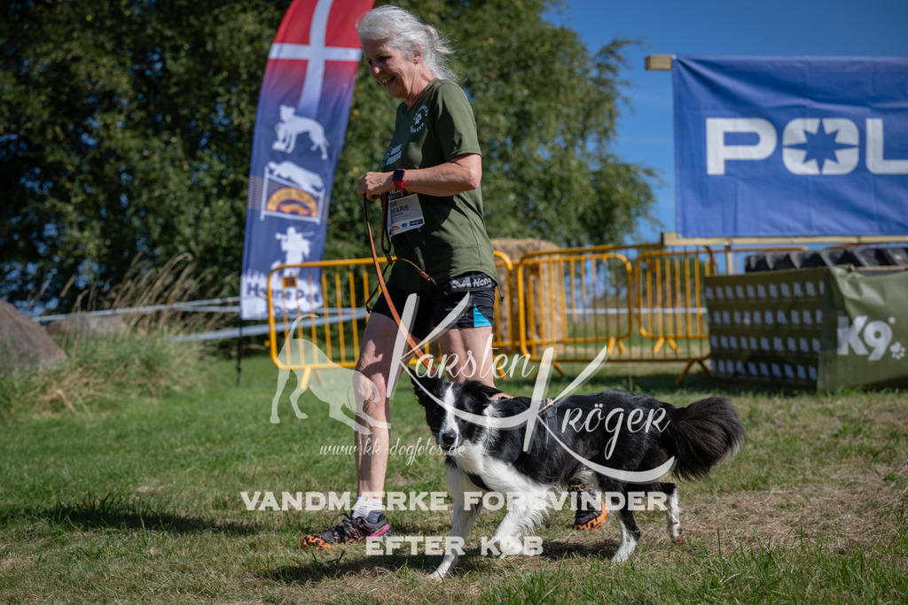 1054_ZZ99522 | kk-dogfotos