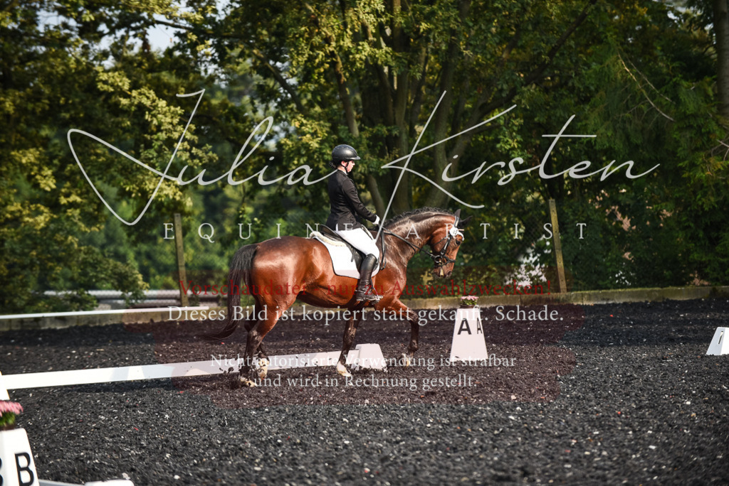 DSC_3331 | Pferde- und Turnierfotografie in Westsachsen. Pferdeportraits, Auftragszeichnungen und intuitive Kunst.