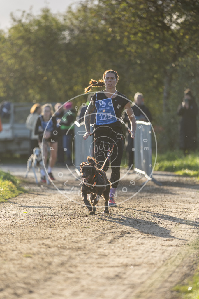 Pfotenfotografie.de_DV3A2968 | Hundefotografie, Tierfotograf, Pfotenfotografie, Fotoshooting Hund, Hunde Portrait, Hundesport, Hundeportraits, Heideshooting, Hunde, Sportfotograf, Hundefotograf, Turnierhundsport, THS, canicross - Realisiert mit Pictrs.com