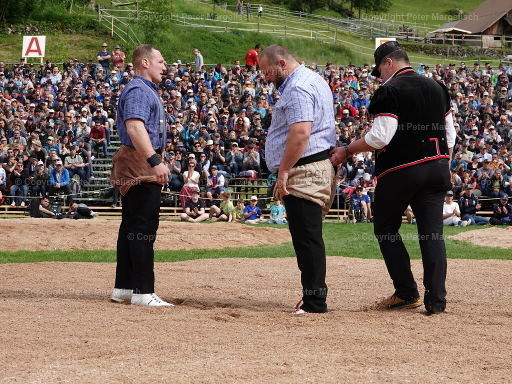 DSC07266 | Schwingen - Realisiert mit Pictrs.com