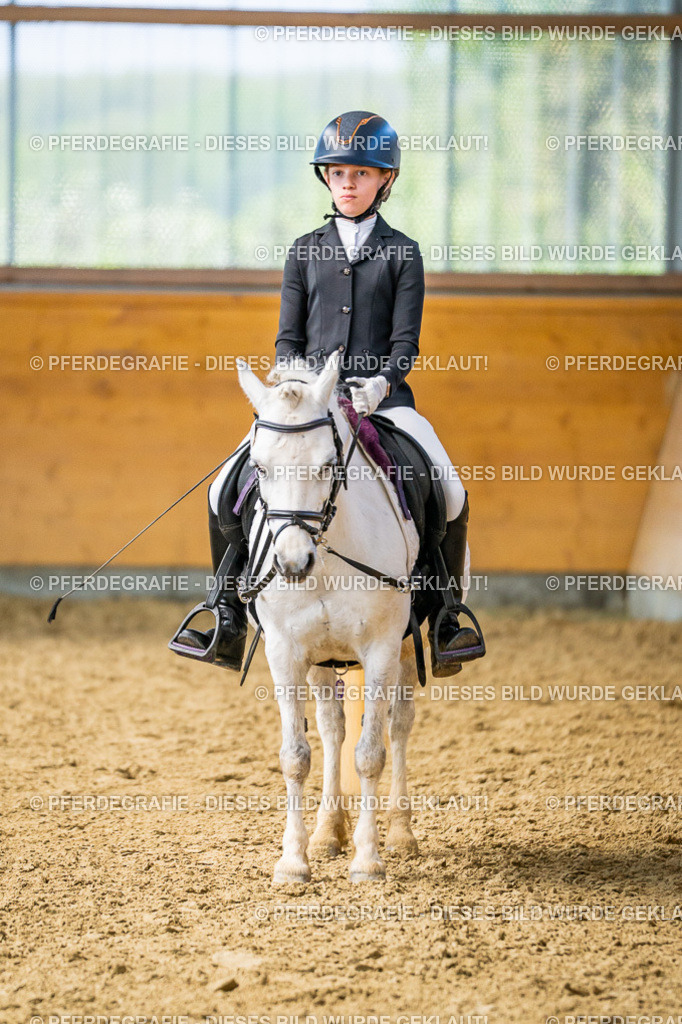 DSC03457 | Pferdegrafie