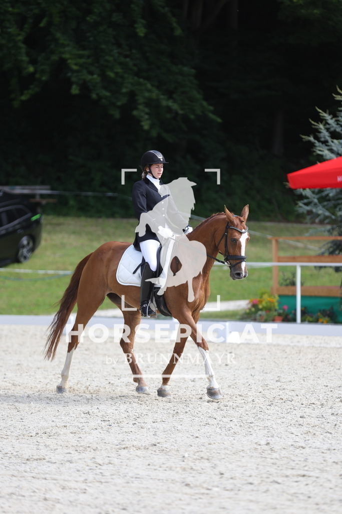 0P6A5010 | Willkommen bei Brunnmayr - Design & Fotografie – Ihrem Spezialisten für Reitturniere und Pferdeveranstaltungen in Oberösterreich, Salzburg und Bayern! Seit über 17 Jahren sind wir leidenschaftlich dabei.