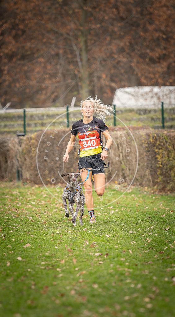 CaniXpix_DV3A6204 | Hundefotografie, Tierfotograf, Pfotenfotografie, Fotoshooting Hund, Hunde Portrait, Hundesport, Hundeportraits, Heideshooting, Hunde, Sportfotograf, Hundefotograf, Turnierhundsport, THS,  - Realisiert mit Pictrs.com