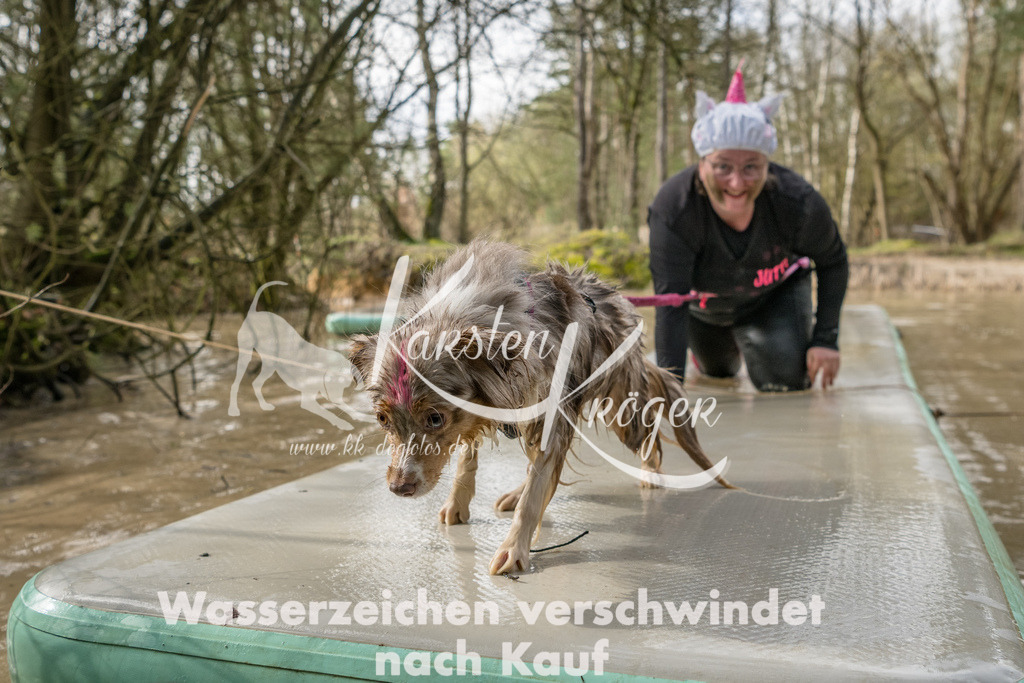 1008_ZZ92729 | kk-dogfotos