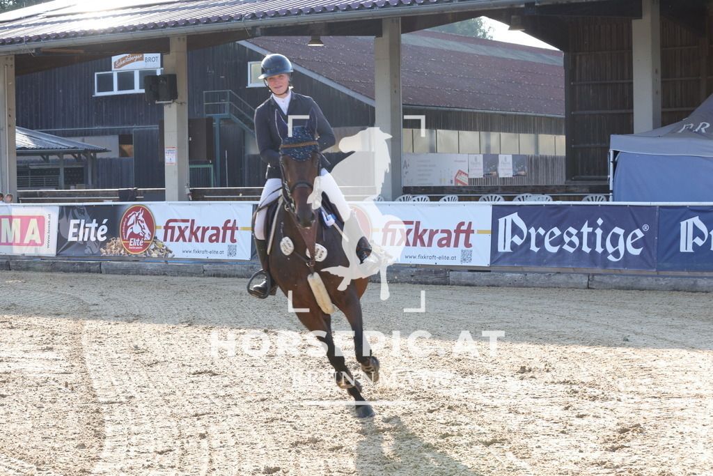 0P6A8371 | Willkommen bei Brunnmayr - Design & Fotografie – Ihrem Spezialisten für Reitturniere und Pferdeveranstaltungen in Oberösterreich, Salzburg und Bayern! Seit über 17 Jahren sind wir leidenschaftlich dabei.