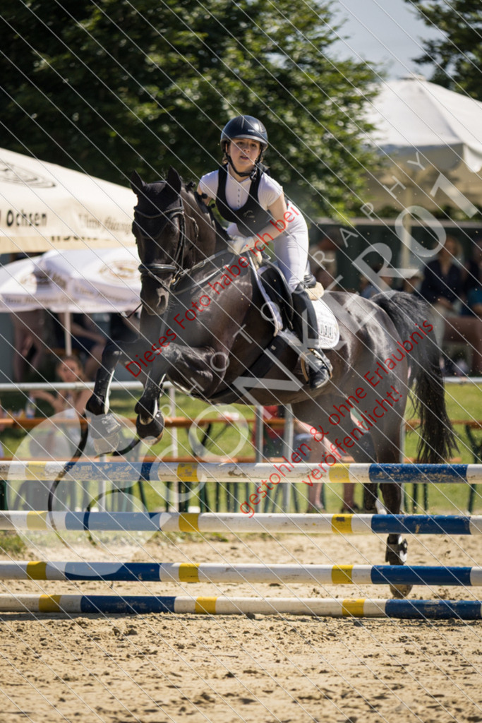 IMG_3400 | Sport-, Event- und Tierfotos in Profiqualität. Einfach auswählen, bestellen und herunterladen. Dein Moment – perfekt festgehalten.