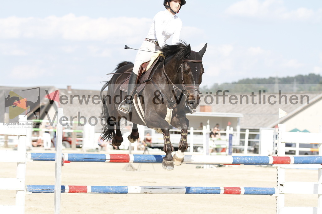 _MG_5378 | equestrian-live-com