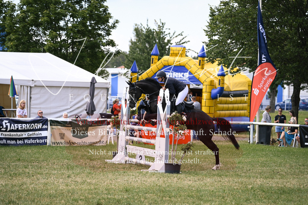 DSC_0812 | Pferde- und Turnierfotografie in Westsachsen. Pferdeportraits, Auftragszeichnungen und intuitive Kunst.