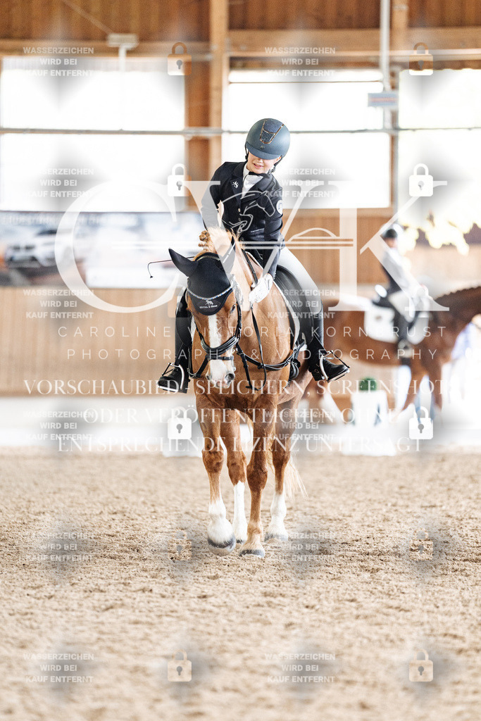 CK900878 | Turnierfotografie Pferdefotografie Trier Rheinland-Pfalz Pferdesport Reitsport Tierfotografie Sportfotografie Pferdevideo Pferdevideografie Equestrianvideography equestrianphotography  - Realisiert mit Pictrs.com