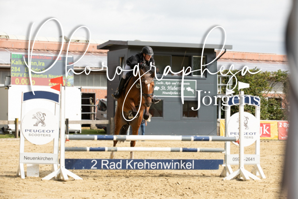 IMG_6617 | photographesa-joergens - Realisiert mit Pictrs.com