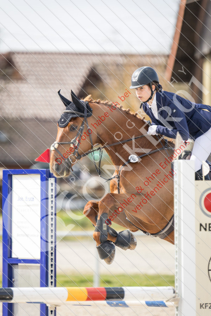 IMG_4220 | Sport-, Event- und Tierfotos in Profiqualität. Einfach auswählen, bestellen und herunterladen. Dein Moment – perfekt festgehalten.