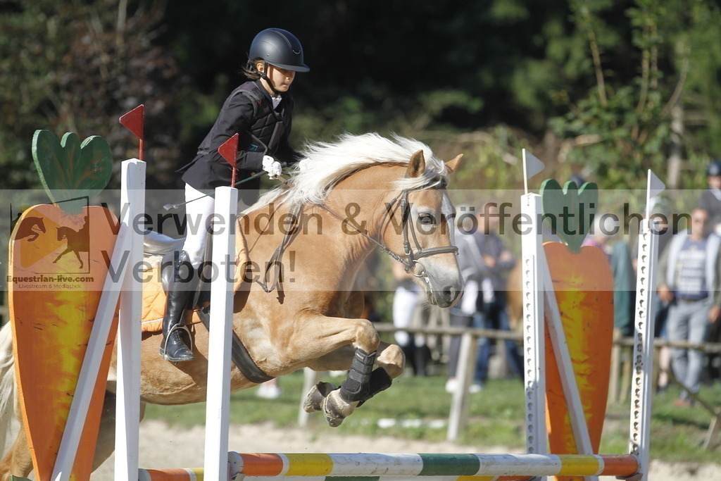 _MG_4047 | equestrian-live-com