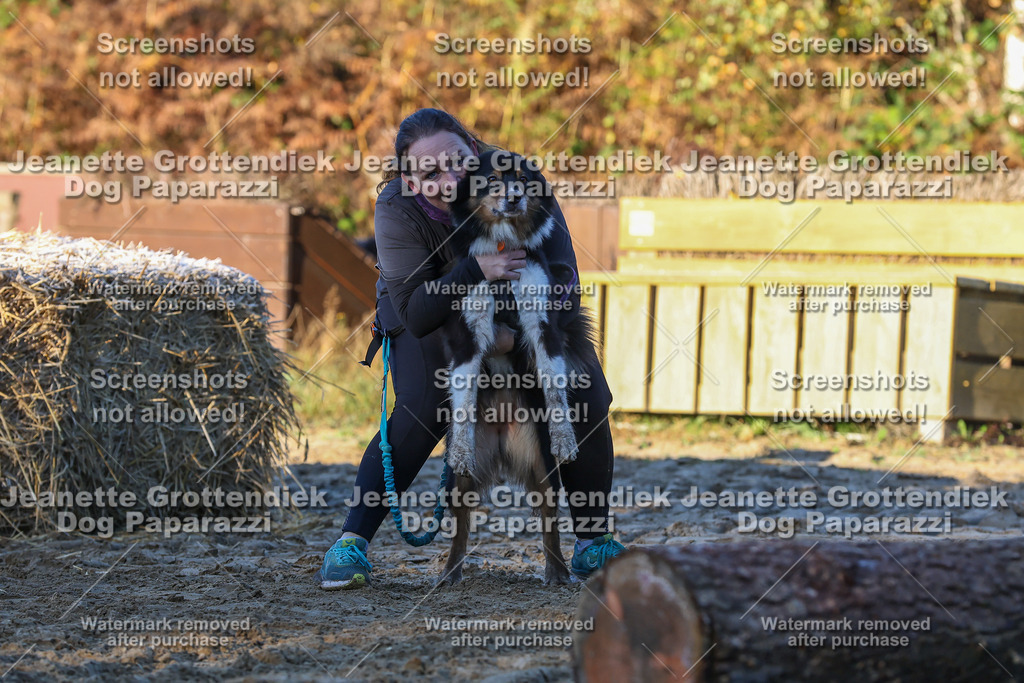 Dog Paparazzi - Strongdog 10-25-712 | Dog Paparazzi Jeanette Grottendiek Fotografie & Videografie - Realisiert mit Pictrs.com