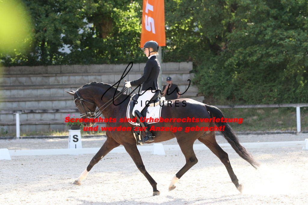 IMG_5778 | lmwpictures - Realisiert mit Pictrs.com