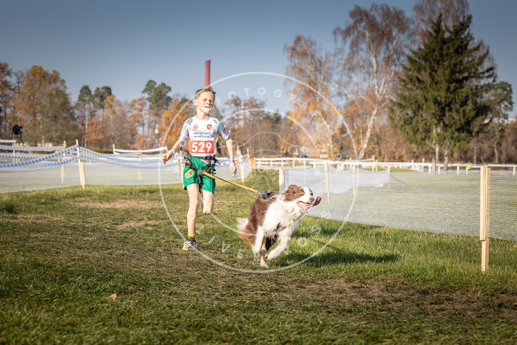 CaniXpix_0L8A8872 | Hundefotografie, Tierfotograf, Pfotenfotografie, Fotoshooting Hund, Hunde Portrait, Hundesport, Hundeportraits, Heideshooting, Hunde, Sportfotograf, Hundefotograf, Turnierhundsport, THS,  - Realisiert mit Pictrs.com