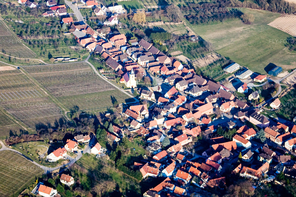 Aerial view: View of the town in Rott in the state Bas-Rhin, France.Photo: IMG_17486.jpg taken on 03/21/2009 by Werner Riehm/FLY-FOTO.comResolution of the original: 3480 x 2320 px