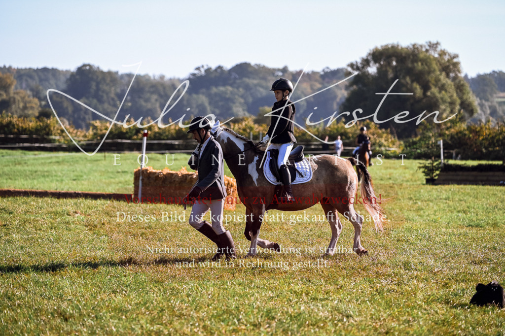 DSC_0330 | Pferde- und Turnierfotografie in Westsachsen. Pferdeportraits, Auftragszeichnungen und intuitive Kunst.
