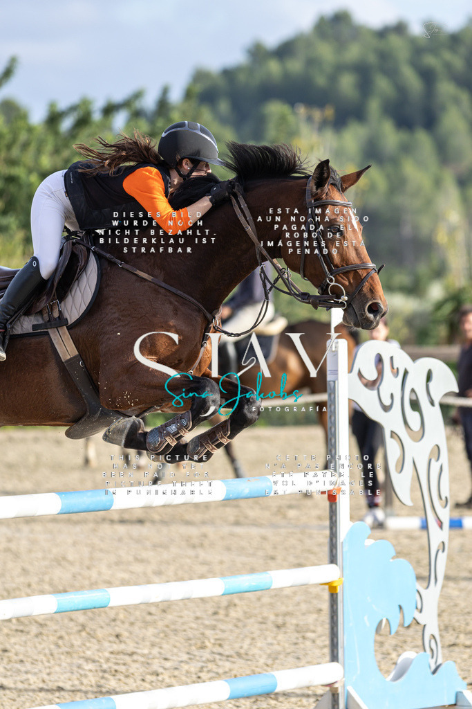 IMG_4926 | s-jay-photography - Realisiert mit Pictrs.com