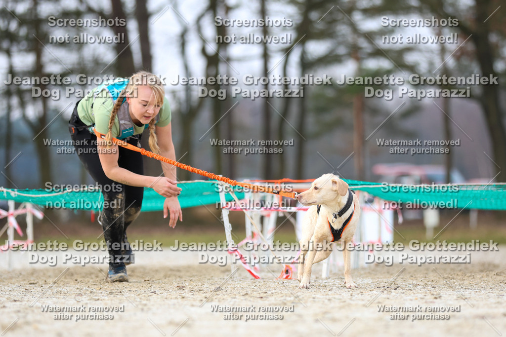 Dog Paparazzi - Strongdog North Mrz26-3775 | Dog Paparazzi Jeanette Grottendiek Fotografie & Videografie - Realisiert mit Pictrs.com