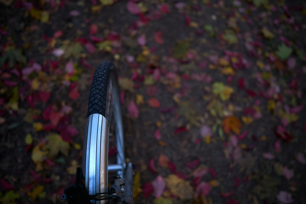 Blick auf das Vorderrad eines Fahrrades auf den Waldboden | Wien, Austria - October 17, 2022: Blick auf das Vorderrad eines Fahrrades auf den Waldboden - Realisiert mit Pictrs.com