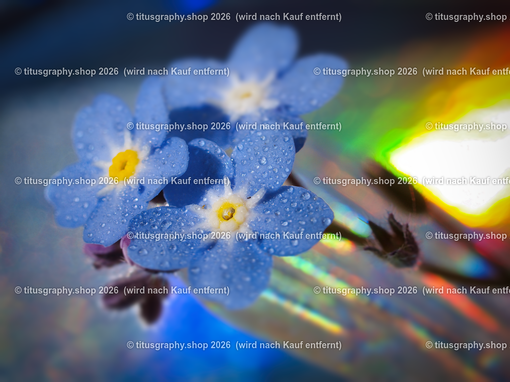 P5146294-b | titusgraphy-shop: Geschenkideen mit Qualitätsfotos. titusgraphy-shop: gift ideas with quality photos. titusgraphy-shop: idées cadeaux avec photos de qualité.  - Realisiert mit Pictrs.com