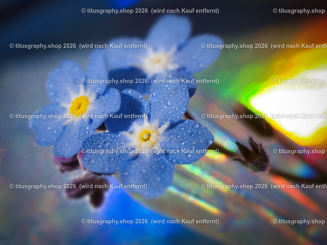 P5146294-b | Fotokunstarbeit aus der INSTAGRAM-Gallerie auf titusgraphy.eu - Realisiert mit Pictrs.com