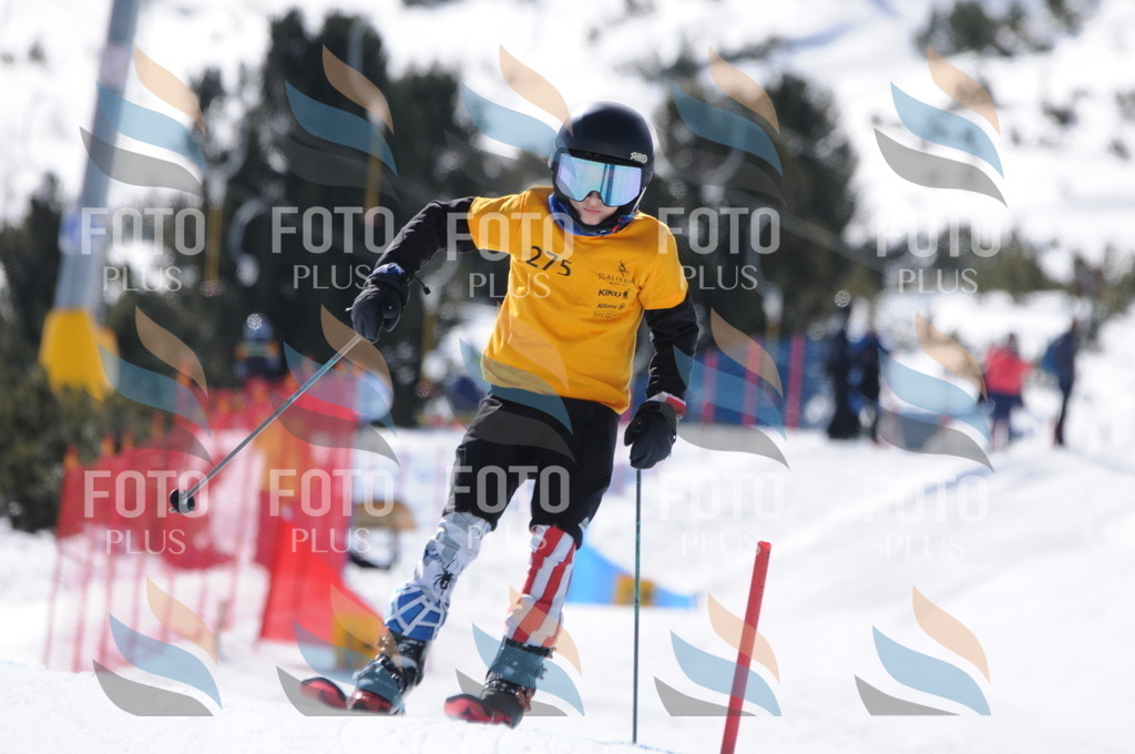 C8993 | holidayphoto