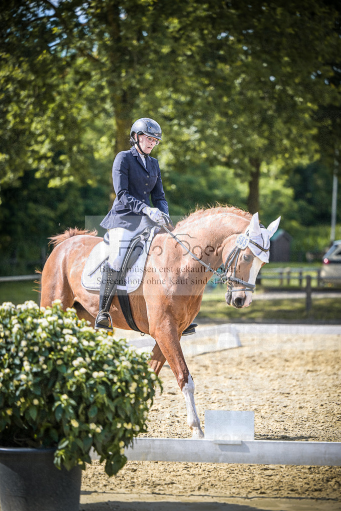 DOS_7655 | Entdecke hochwertige Reitturnierfotos von Foto Oger. Professionell, emotional und authentisch – jetzt Lieblingsmomente im Shop bestellen.Deutschlandweite Turnierfotografie. - Realisiert mit Pictrs.com