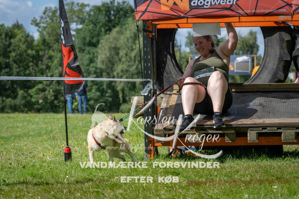 1540_ZZ93669 | kk-dogfotos