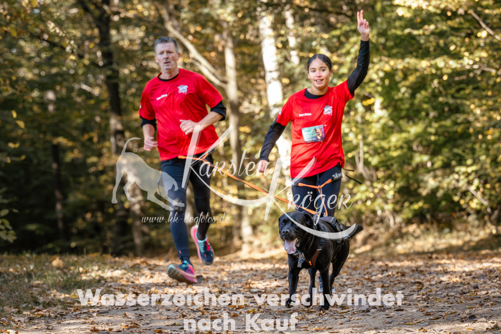 1228_ZZ95316 | kk-dogfotos