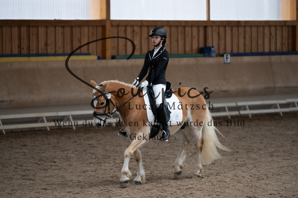 A7V09666 | Pferdefotograf