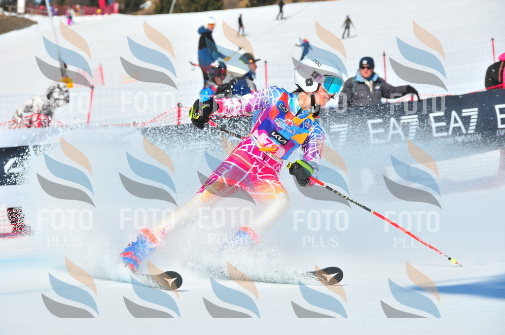 DSC_4367 | holidayphoto