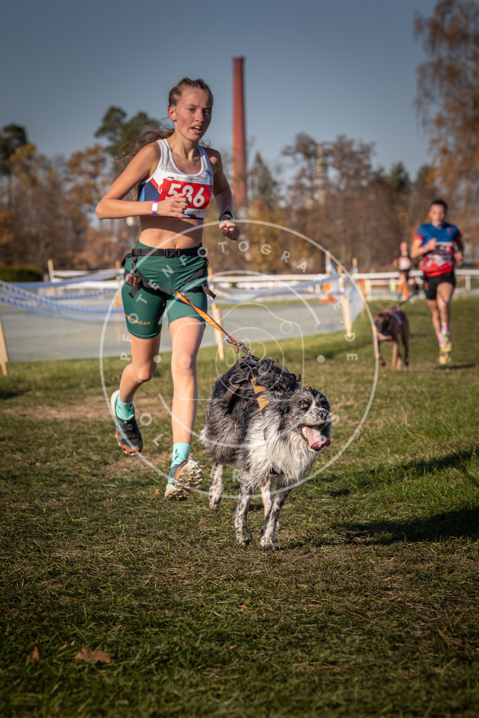 CaniXpix_0L8A8281 | Hundefotografie, Tierfotograf, Pfotenfotografie, Fotoshooting Hund, Hunde Portrait, Hundesport, Hundeportraits, Heideshooting, Hunde, Sportfotograf, Hundefotograf, Turnierhundsport, THS,  - Realisiert mit Pictrs.com