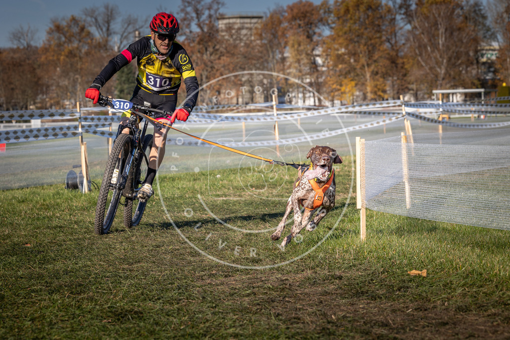 CaniXpix_0L8A5556 | Hundefotografie, Tierfotograf, Pfotenfotografie, Fotoshooting Hund, Hunde Portrait, Hundesport, Hundeportraits, Heideshooting, Hunde, Sportfotograf, Hundefotograf, Turnierhundsport, THS,  - Realisiert mit Pictrs.com