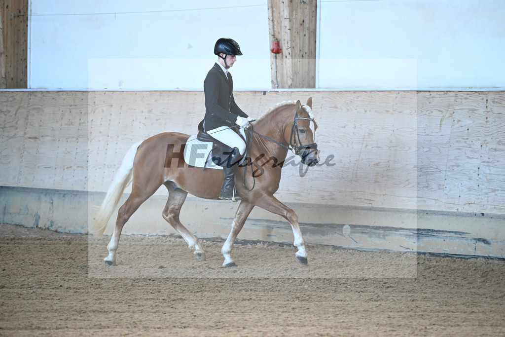 Kat-Nr. 7 Narcotic v. Nakuri_ZG Hackfurt u Weiser_43250441 | hf-fotografie - Realisiert mit Pictrs.com