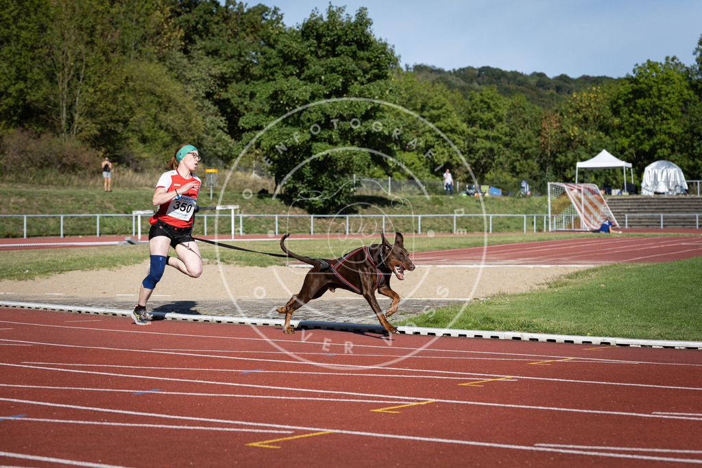 Pfotenfotografie_DV3A9075 | Hundefotografie, Tierfotograf, Pfotenfotografie, Fotoshooting Hund, Hunde Portrait, Hundesport, Hundeportraits, Heideshooting, Hunde, Sportfotograf, Hundefotograf, Turnierhundsport, THS,  - Realisiert mit Pictrs.com