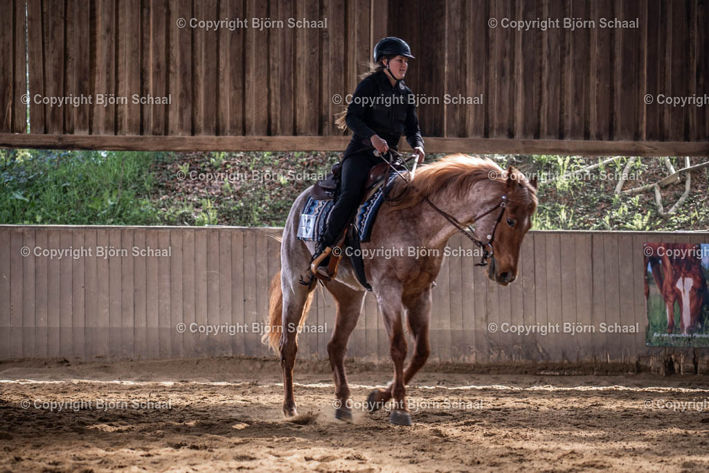 AQB08601 | BS-foto